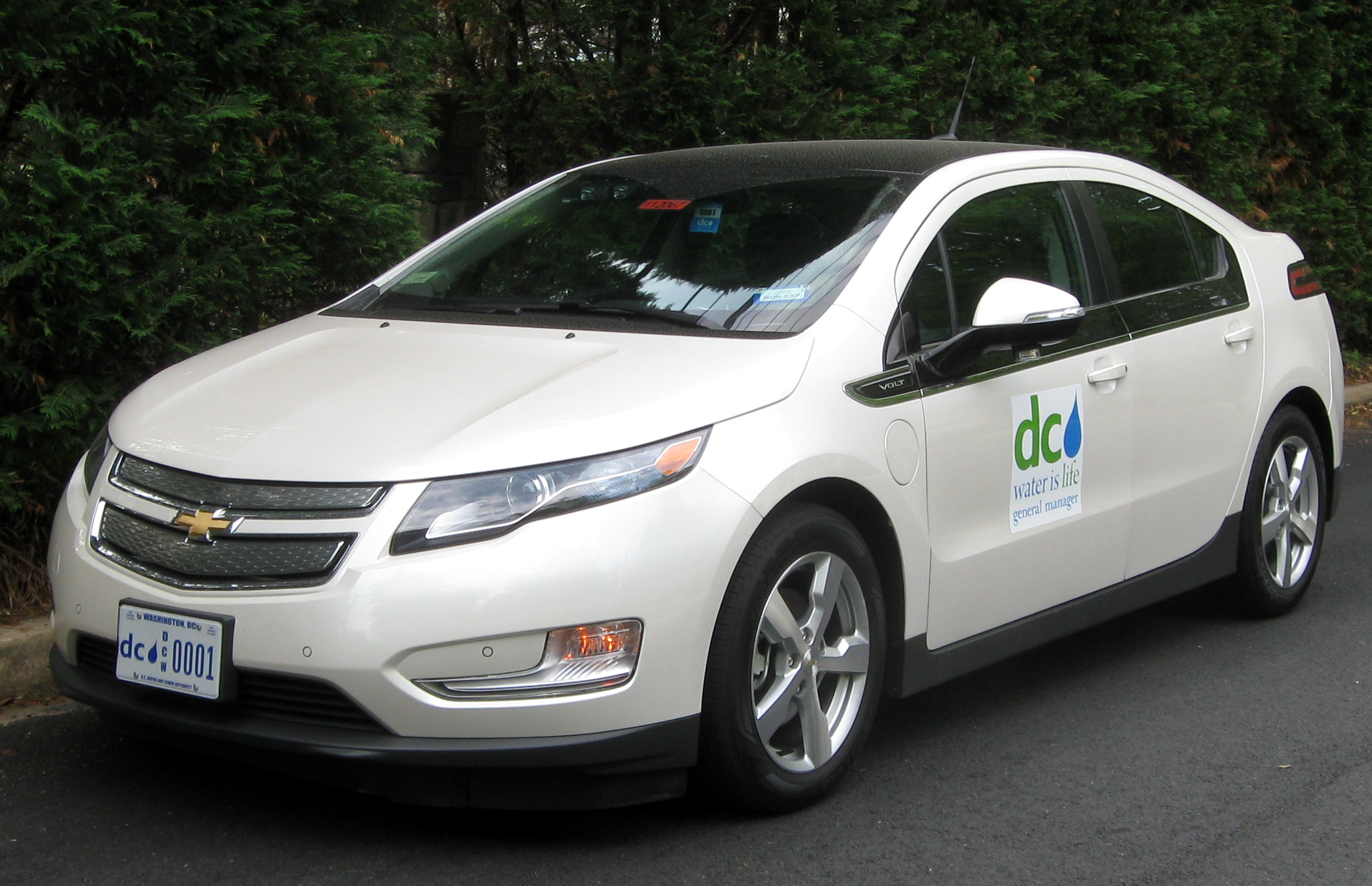 Congressional report slams electric vehicle incentives