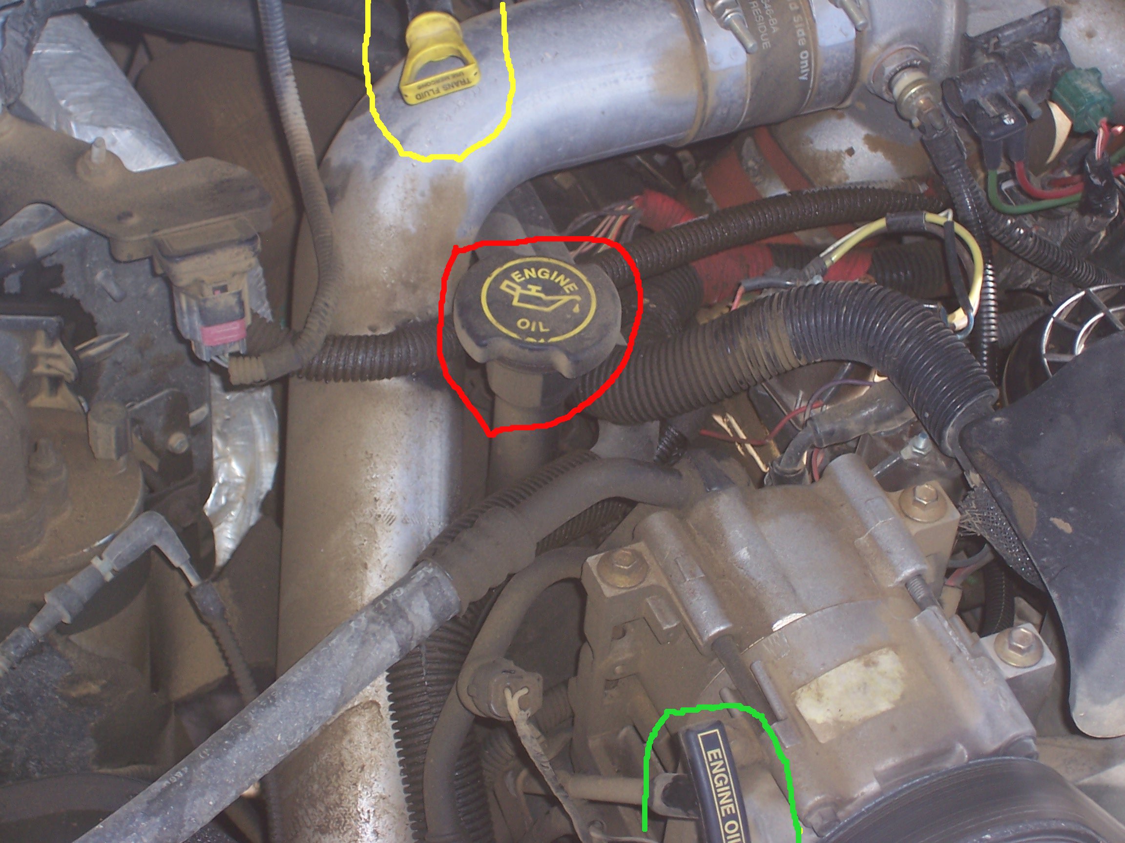 Ford F-250 engine compartment showing oil and transmission dipsticks