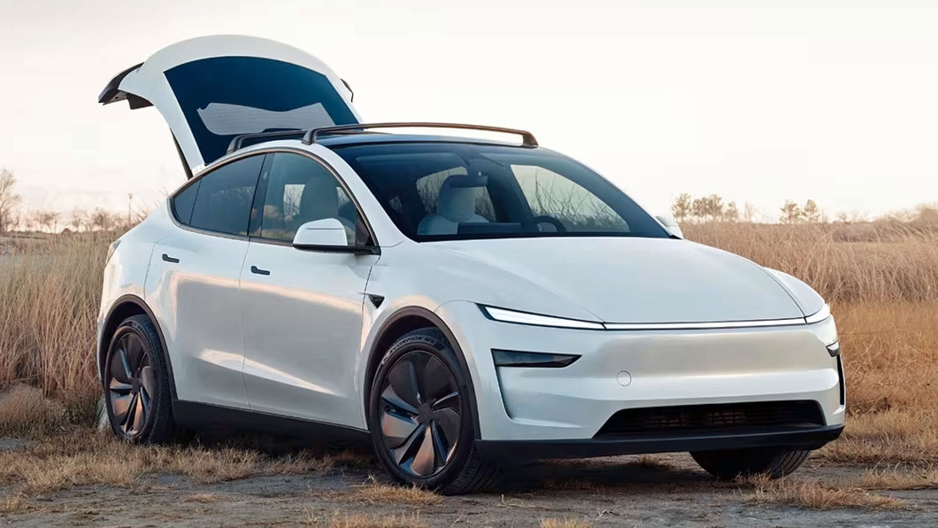 Tesla insurance costs: a Tesla Model Y, expensive to repair after a knock