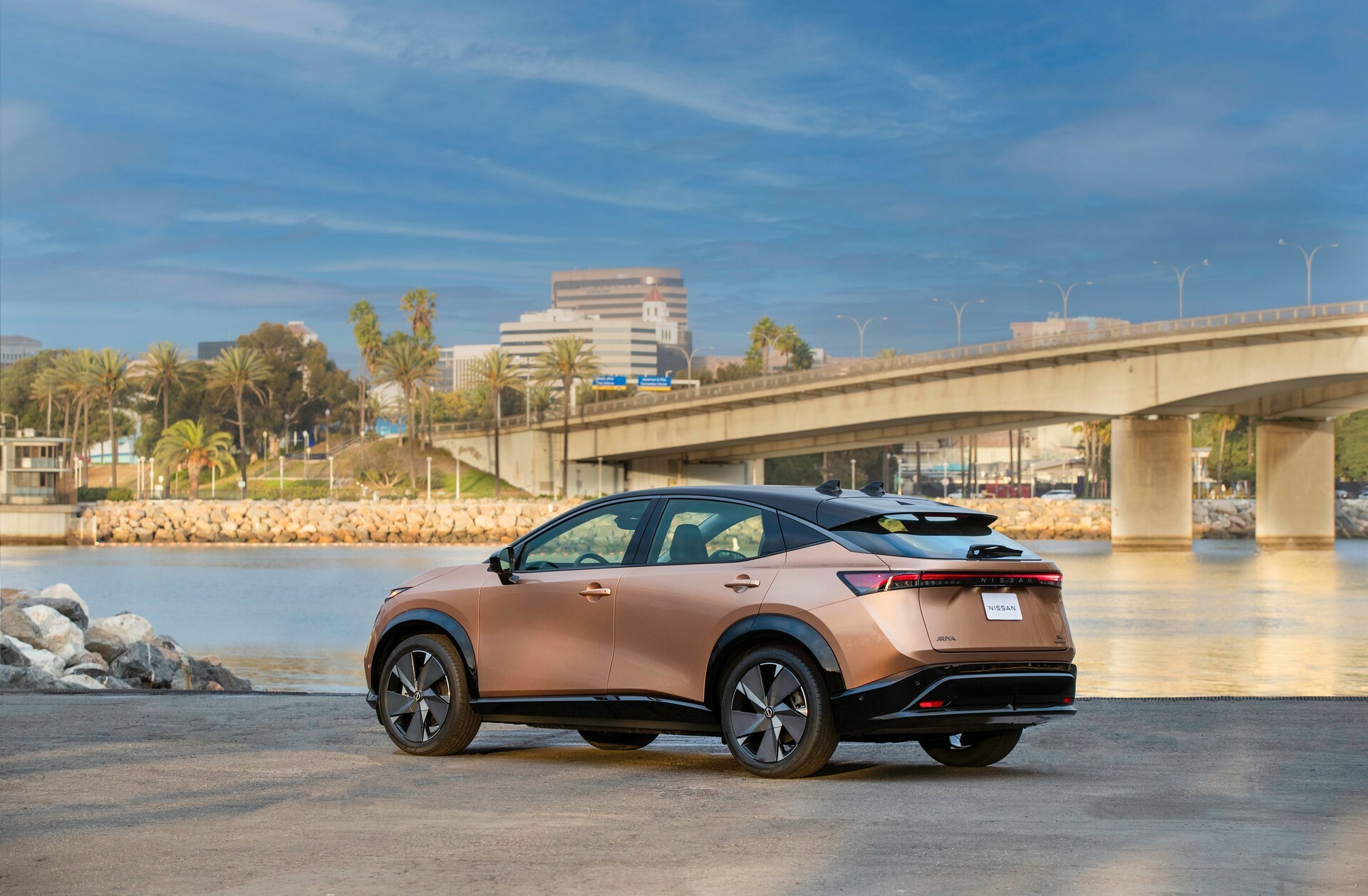 Nissan Ariya by a waterfront, which battery and trim to buy used