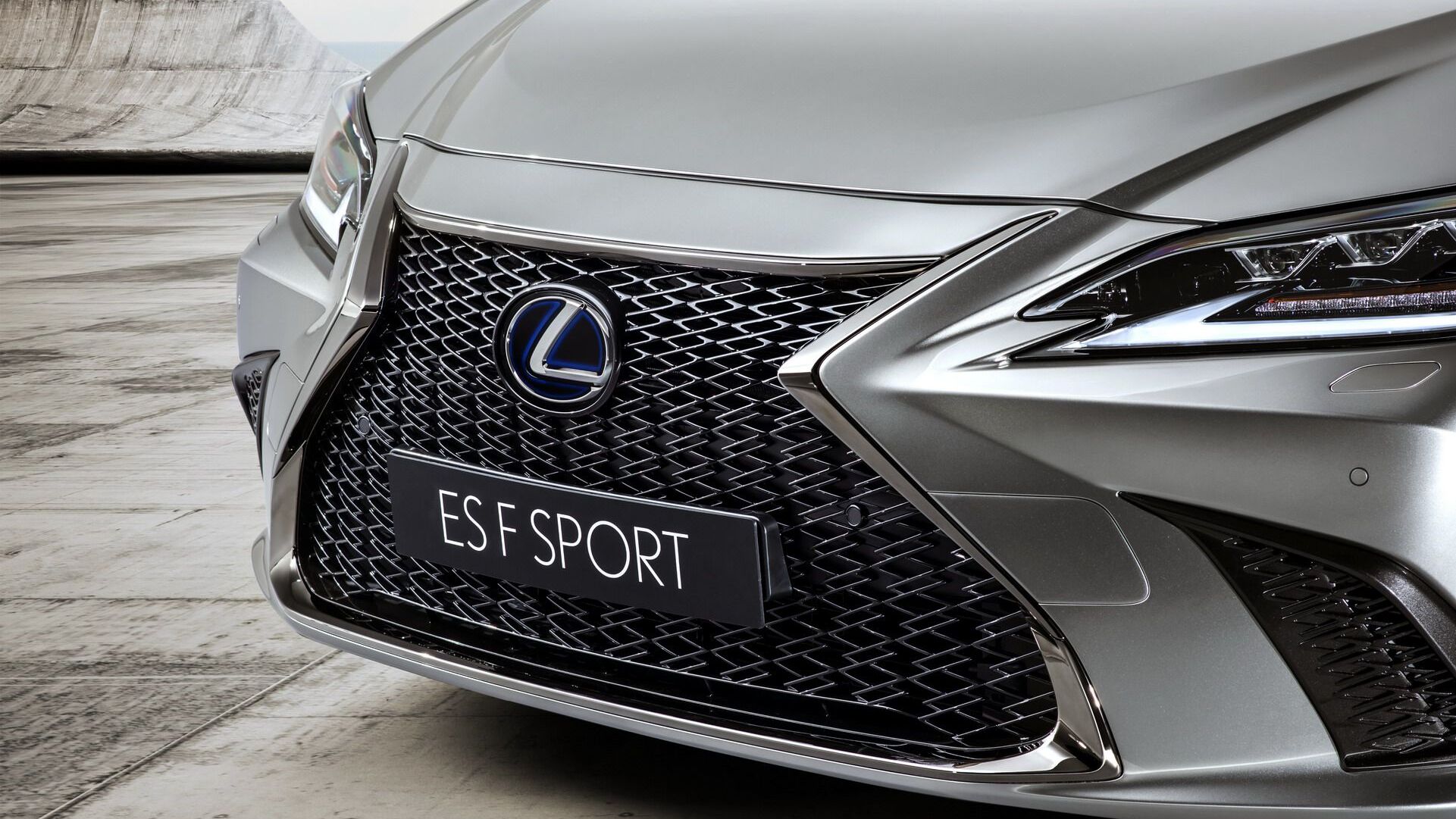 Lexus ES 300h F Sport spindle grille detail, a trim feature noted in this used buyer's guide
