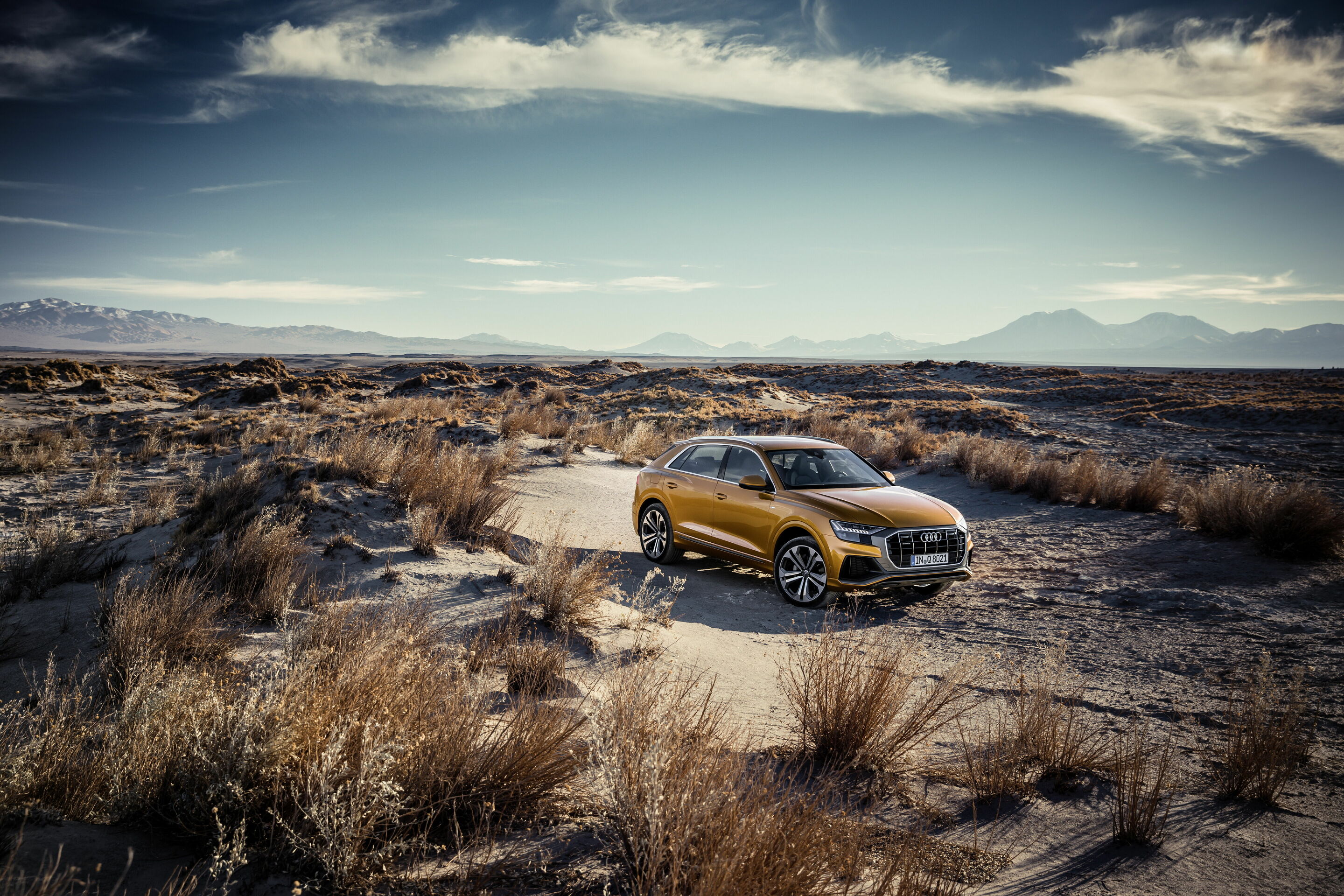 Audi Q8 50 TDI used buyer's guide side profile