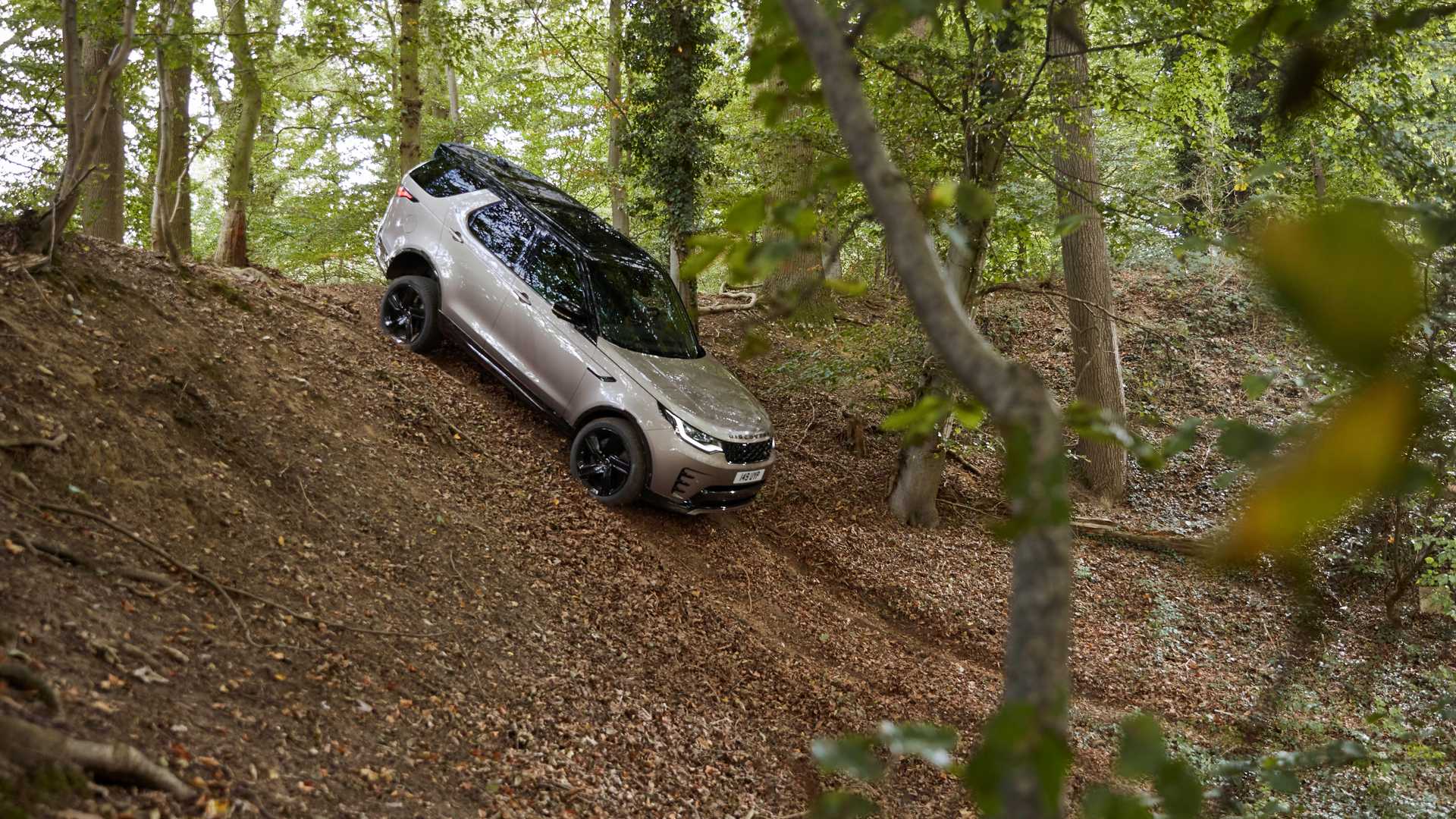 Land Rover Discovery 5 used buyer's guide L462 off-road in woodland showing ground clearance