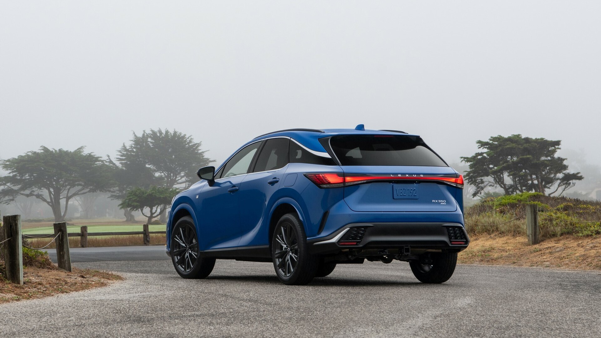 Lexus RX 500h F Sport rear three-quarter