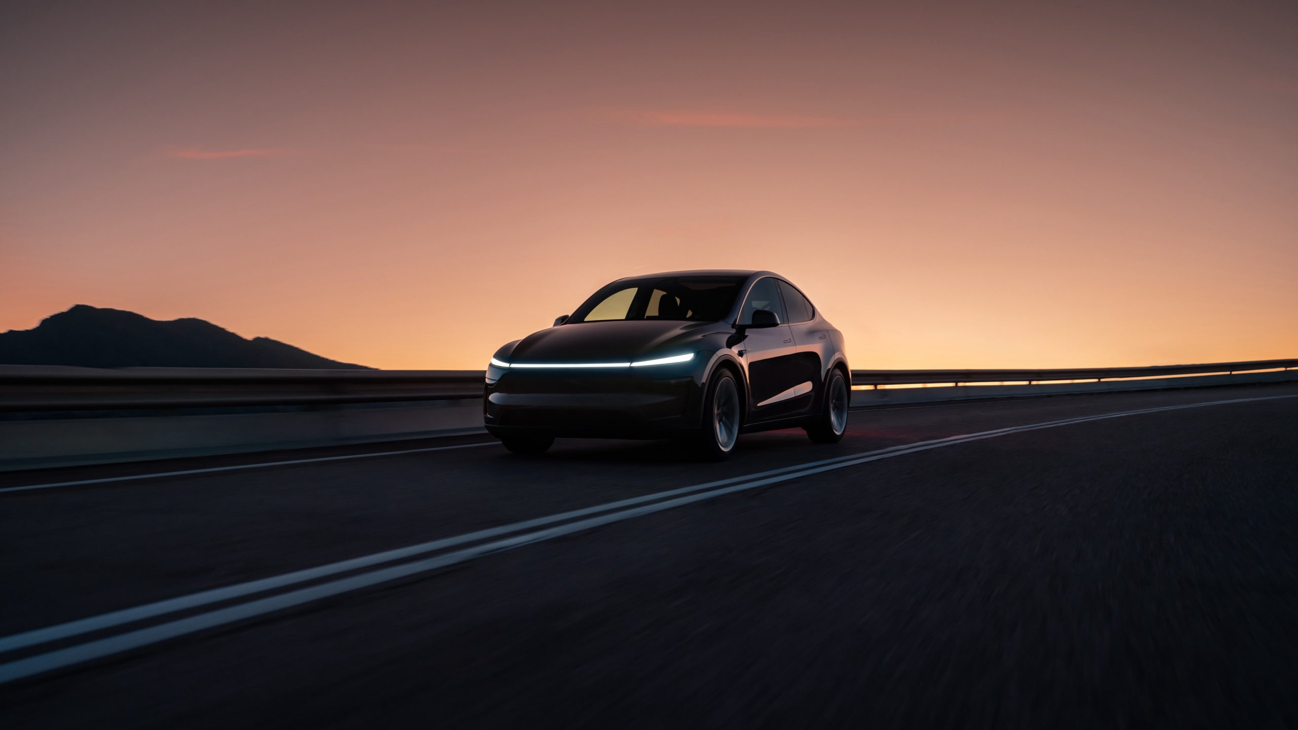 Tesla Model Y Long Range, used buyer's guide